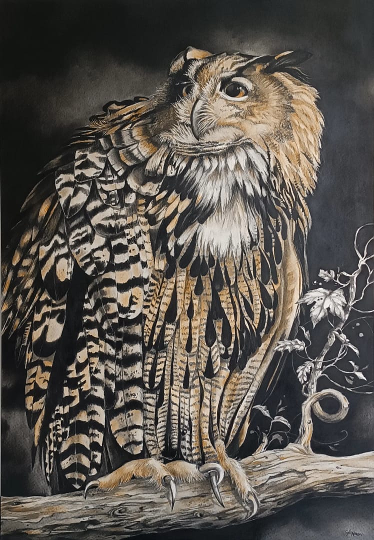 IMG_20260402_164420_rognee